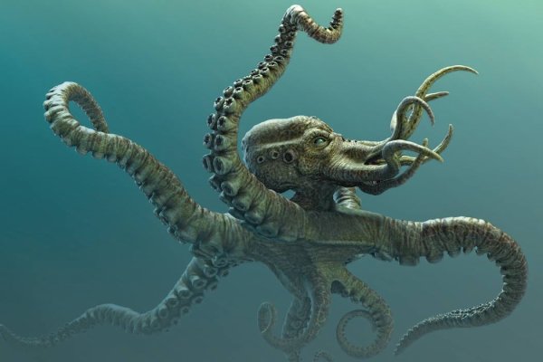 Kraken шоп что это