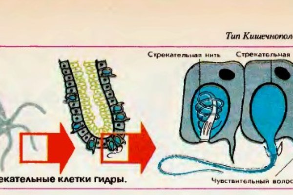 Как попасть на кракен